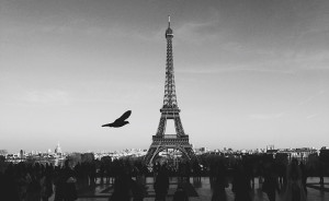Read more about the article Eiffel Tower in Paris