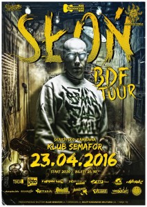 Read more about the article Słoń BDF Tour